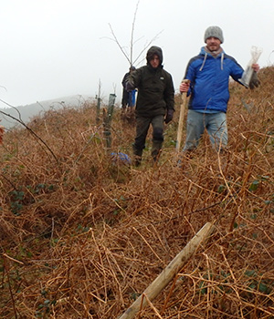 Mourne Heritage Trust